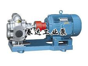 135-960不銹鋼齒輪泵