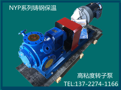 NYP111型高粘度轉(zhuǎn)子泵
